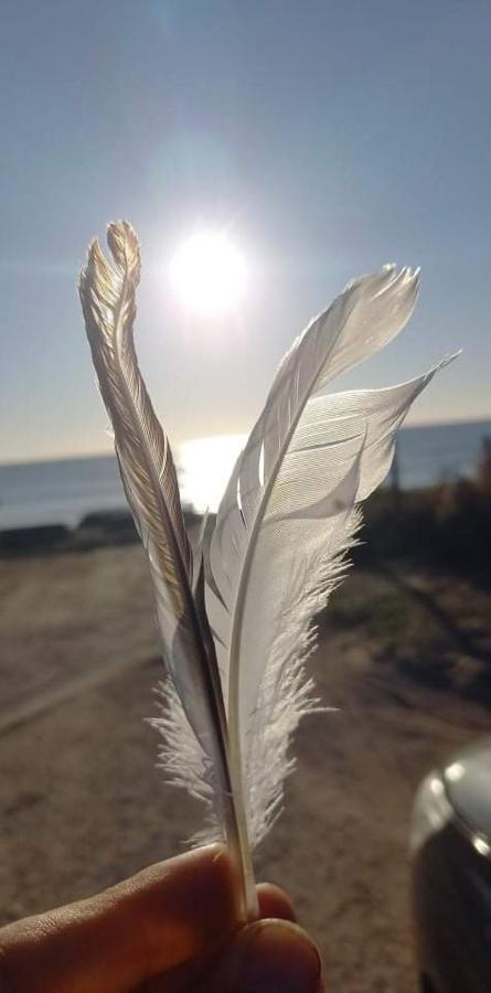 En Plein Coeur De L'Ile D'Oleron, Suite Parentale. Dolus d'Oléron Exterior foto
